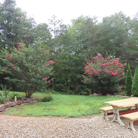 Scenic Fox Ridge Cabin On 4 Acres With Hot Tub! Whittier Esterno foto