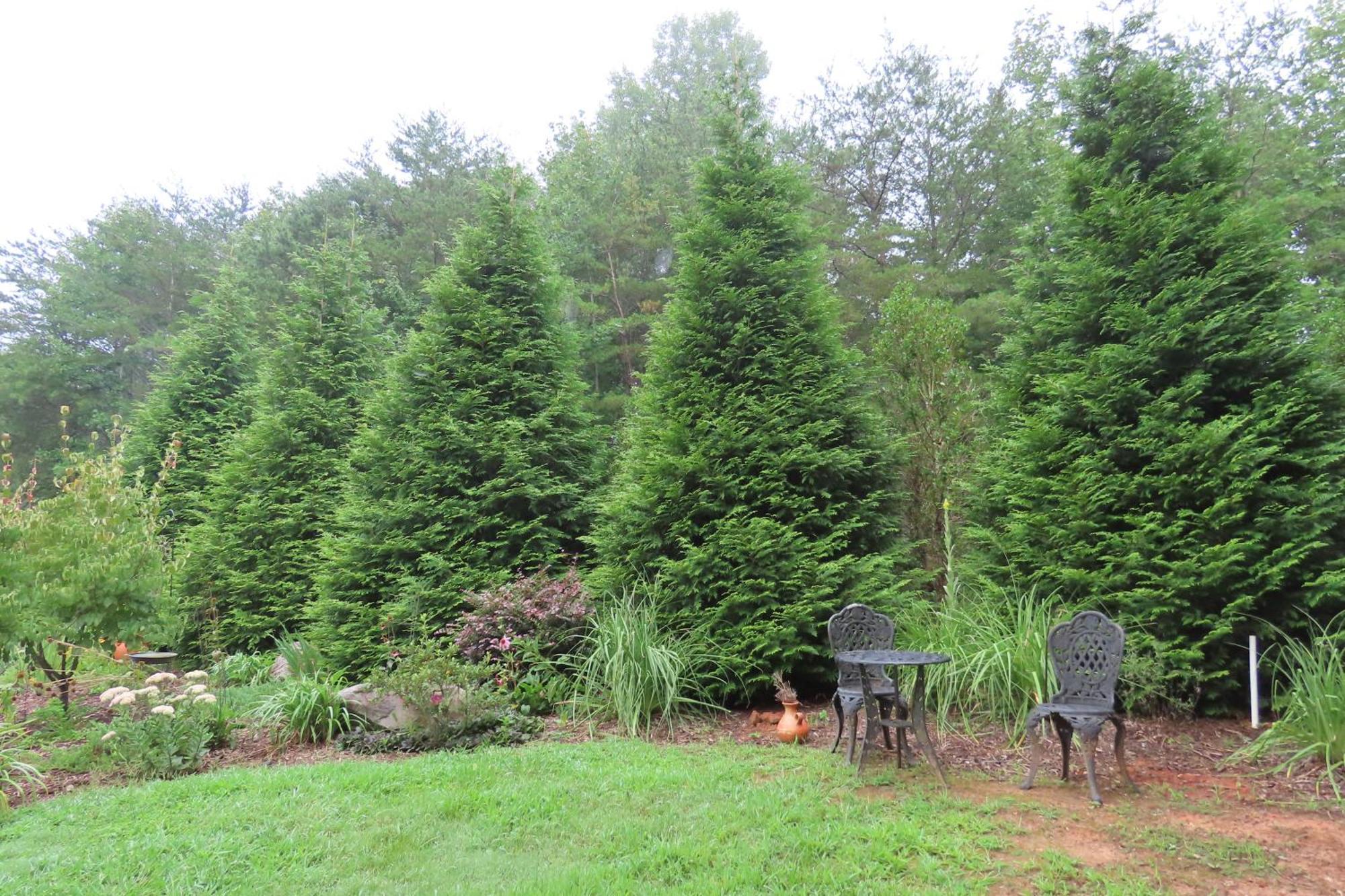 Scenic Fox Ridge Cabin On 4 Acres With Hot Tub! Whittier Esterno foto