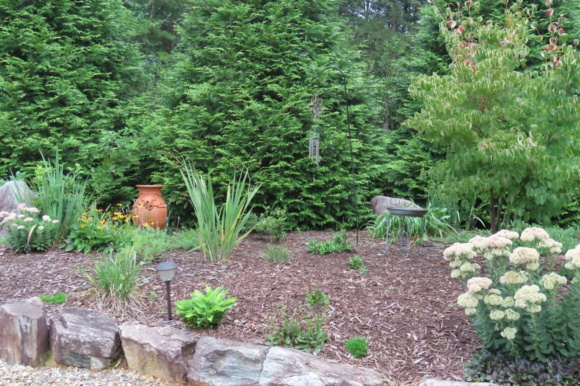 Scenic Fox Ridge Cabin On 4 Acres With Hot Tub! Whittier Esterno foto